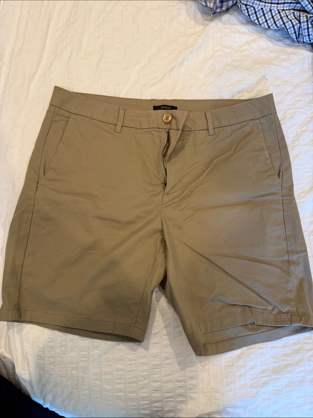 Quince Olive Green Chino Shorts